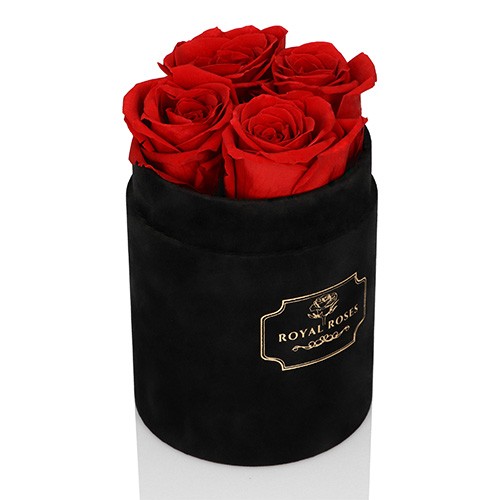 Mały Flower Box Czarny - Czerwona Wieczne Róże