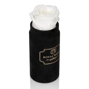Mini Flower Box Czarny - Biała Wieczna Róża