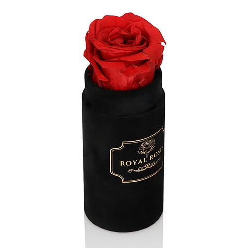 Mini Flower Box Czarny - Czerwona Wieczne Róże