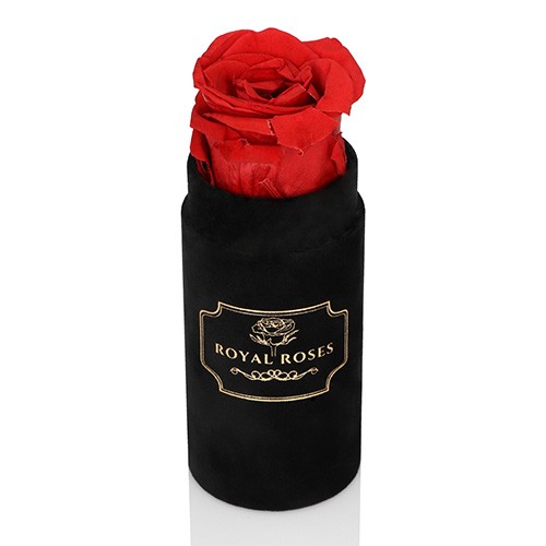 Mini Flower Box Czarny - Czerwona Wieczne Róże