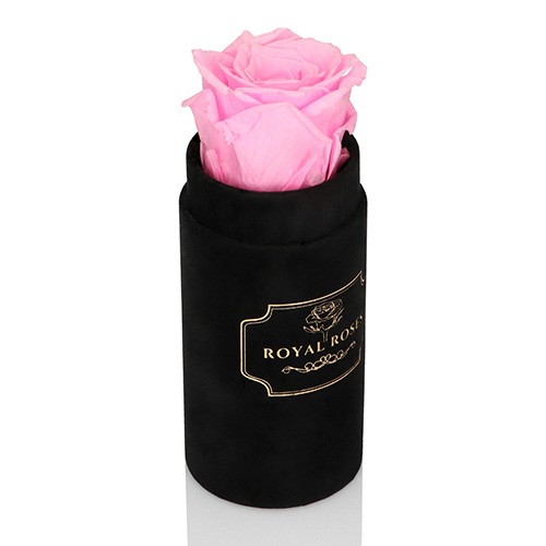 Mini Flower Box Czarny - Różowa Wieczna Róża