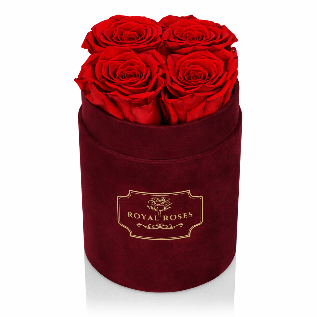 Flowerbox Bordowy Mały & Wieczne Róże - obrazek 5