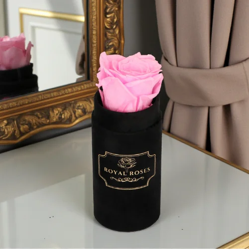 Flowerbox Czarny Mini & Różowa Wieczna Róża