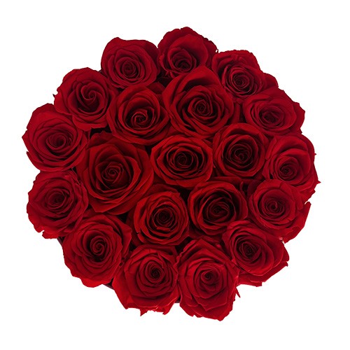 Duży Flower Box Szary - Czerwone Wieczne Róże