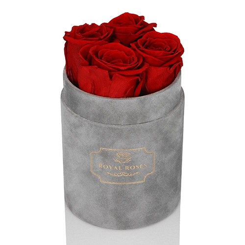 Mały Flower Box Szary - czerwona Wieczne Róże