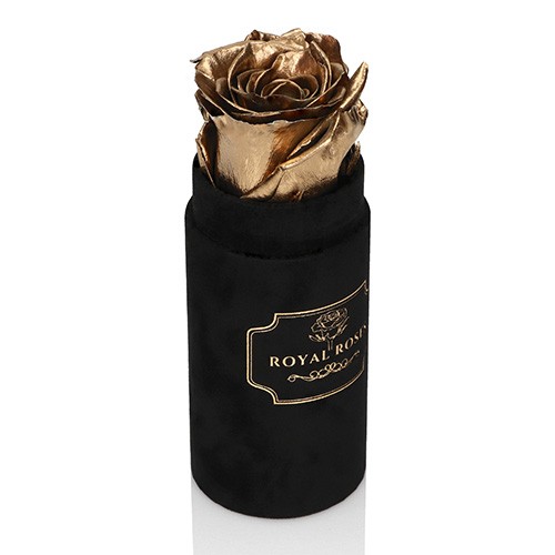 Mini Flower Box Czarny - Złota Wieczna Róża