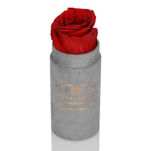 Mini Flower Box Szary - Czerwona Wieczne Róże