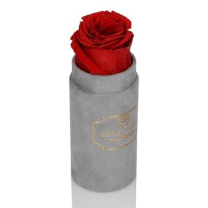 Mini Flower Box Szary - Czerwona Wieczne Róże