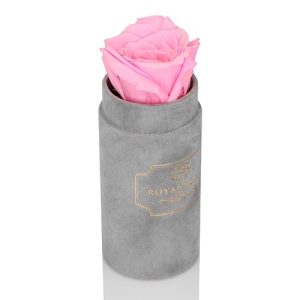 Mini Flower Box Szary- Różowa Wieczna Róża