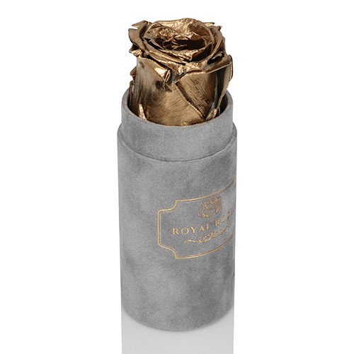 Mini Flower Box Szary - Złota Wieczna Róża