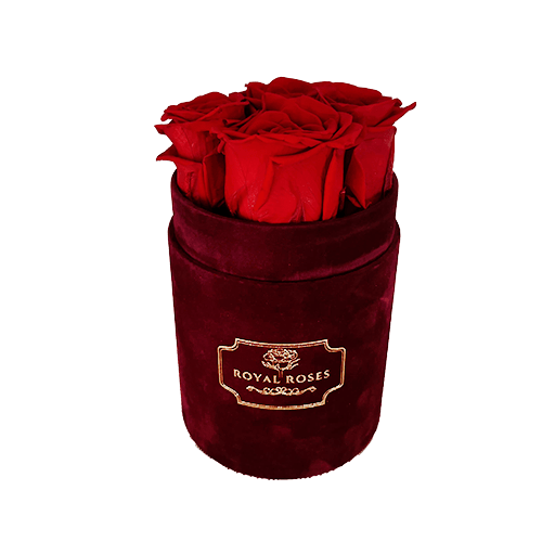 Mały Flower Box Bordo - Czerwone Wieczne Róże