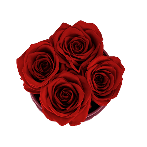 Mały Flower Box Różowy - Czerwone Wieczne Róże