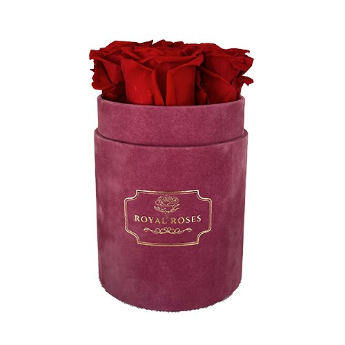 Mały Flower Box Różowy - Czerwone Wieczne Róże
