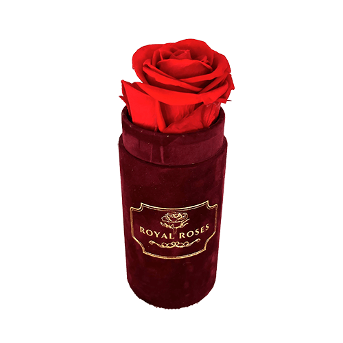 Mini Flower Box Bordo - Czerwona Wieczne Róże