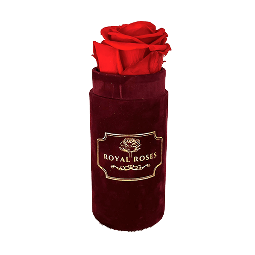 Mini Flower Box Bordo - Czerwona Wieczne Róże