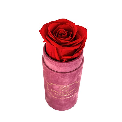 Mini Flower Box Różowy - Czerwona Wieczna Róża