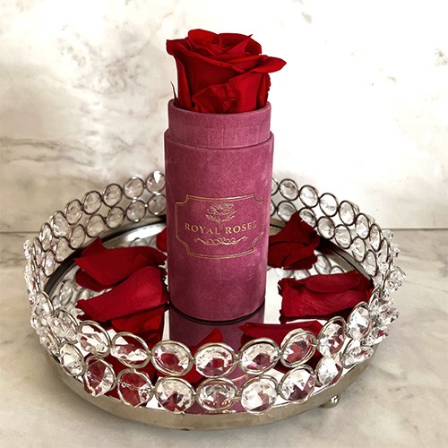Mini Flower Box Różowy - Czerwona Wieczna Róża