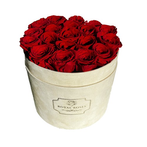 Duży Flower Box Beżowy - Czerwone Wieczne Róże