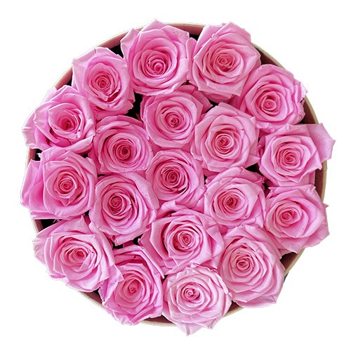 Duży Flower Box Beżowy - Różowe Wieczne Róże