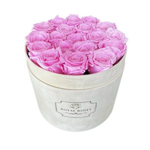 Duży Flower Box Beżowy - Różowe Wieczne Róże