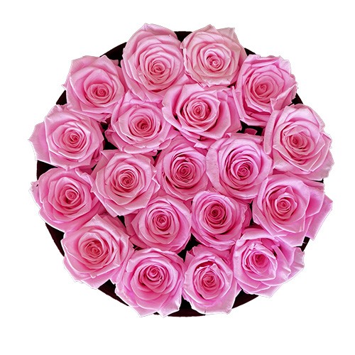 Duży Flower Box Bordo - Różowe Wieczne Róże