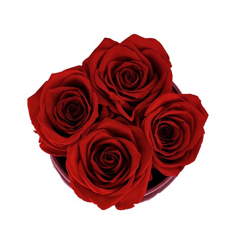 Mały Flower Box Beżowy - Czerwone Wieczne Róże