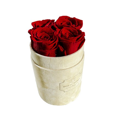 Mały Flower Box Beżowy - Czerwone Wieczne Róże