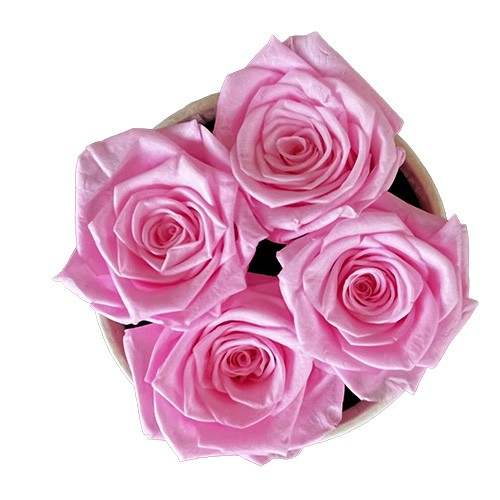 Mały Flower Box Beżowy - Różowe Wieczne Róże