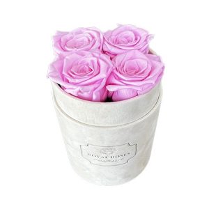 Mały Flower Box Beżowy - Różowe Wieczne Róże