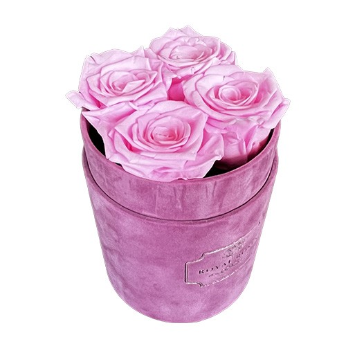 Mały Flower Box Różowy - Różowe Wieczne Róże