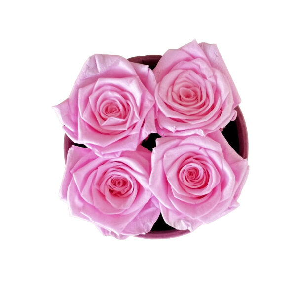 Mały Flower Box Różowy - Różowe Wieczne Róże