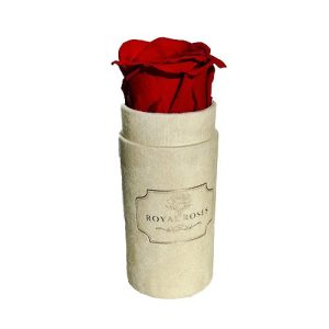 Mini Flower Box Beżowy - Czerwona Wieczna Róża