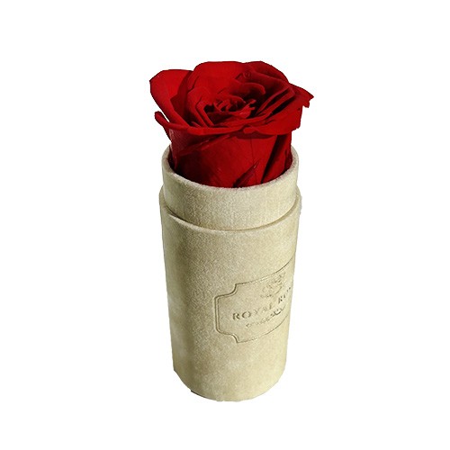Mini Flower Box Beżowy - Czerwona Wieczna Róża