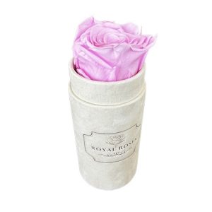 Mini Flower Box Różowe - Różowa Wieczna Róże