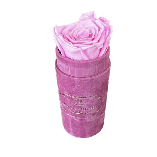 Mini Flower Box Różowy - Różowa Wieczna Róże