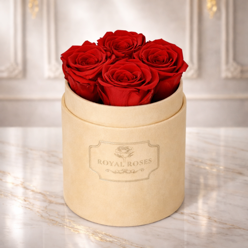 Flowerbox Beżowy Mały & Czerwone Wieczne Róże