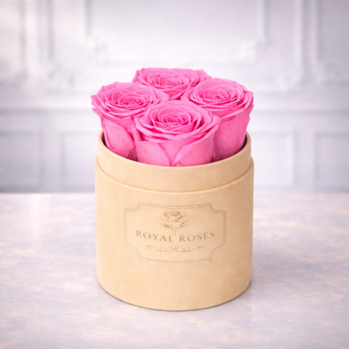 Flowerbox Beżowy Mały & Różowe Wieczne Róże