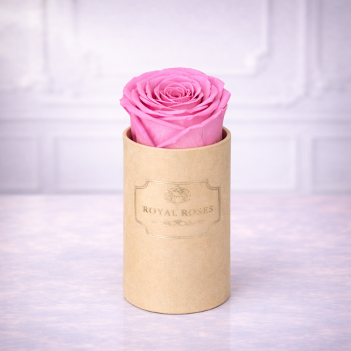 Flowerbox Beżowy Mini & Różowa Wieczna Róża