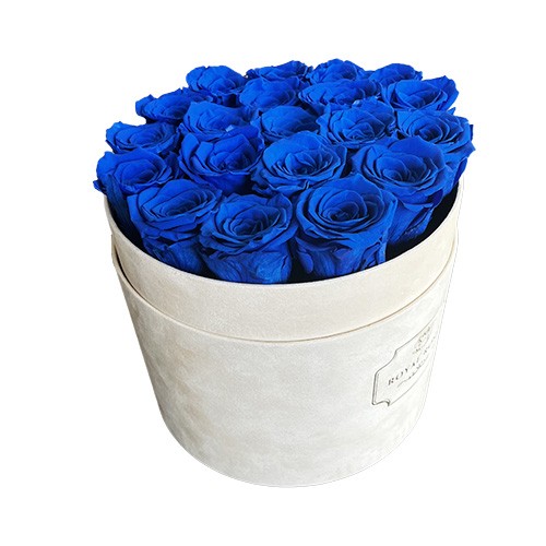 Flower Box Duży Beżowy - Niebieskie wieczne róże