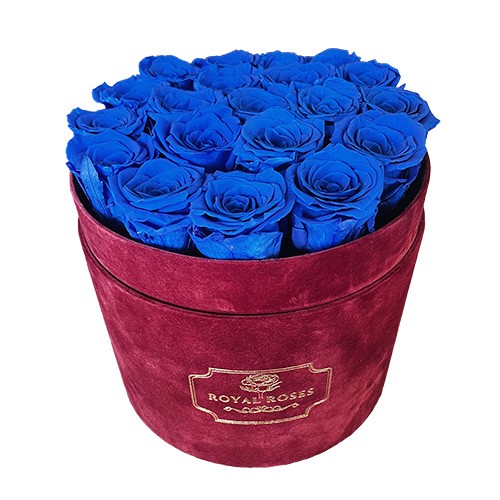 Flower Box Duży Bordo - Niebieskie wieczne róże