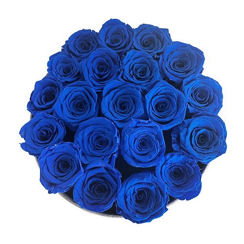 Niebieskie wieczne róże