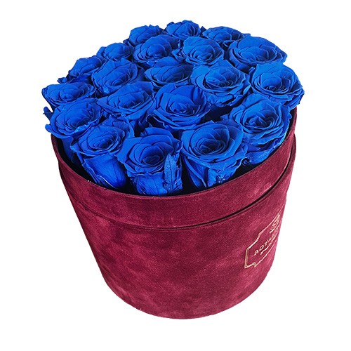 Flower Box Duży Bordo - Niebieskie wieczne róże