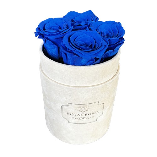 Flower Box Mały Beżowy - Niebieskie wieczne róże