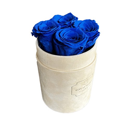 Flower Box Mały Beżowy - Niebieskie wieczne róże