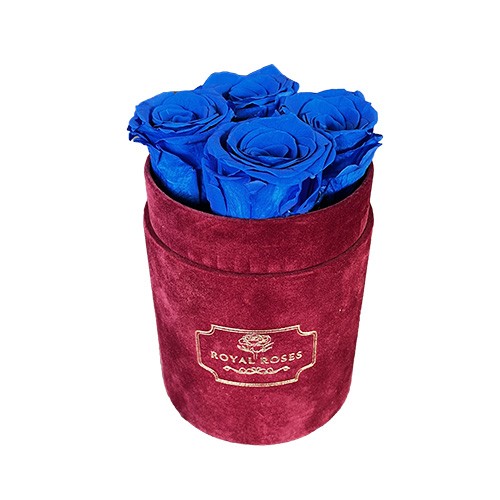 Flower Box Mały Bordo - Niebieskie wieczne róże