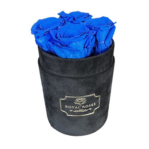 Flower Box Mały Czarny - Niebieskie wieczne róże