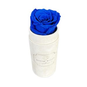 Flower Box Mini Beżowy - Niebieska wieczna róża