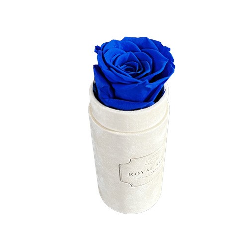 Flower Box Mini Beżowy - Niebieska wieczna róża