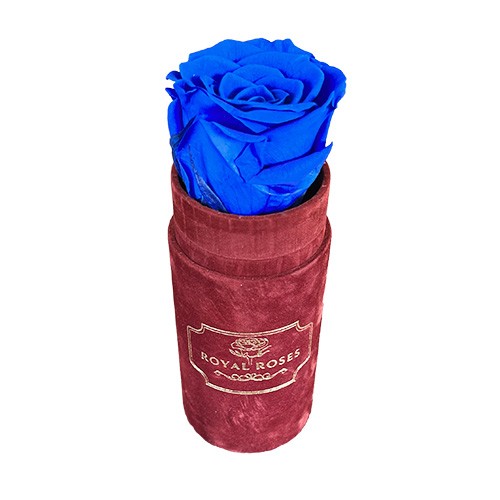 Flower Box Mini Bordo - Niebieska wieczna róża