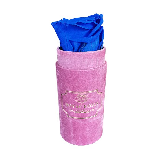 Flower Box Mini Różowy - Niebieska wieczna róża